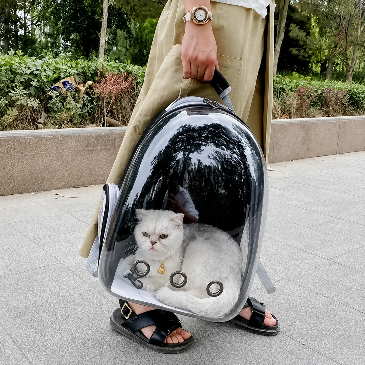 Travel & Outdoor