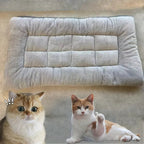 Large Plush Orthopedic Dog Bed