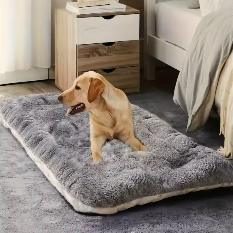 Large Plush Orthopedic Dog Bed