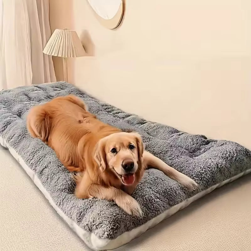 Large Plush Orthopedic Dog Bed