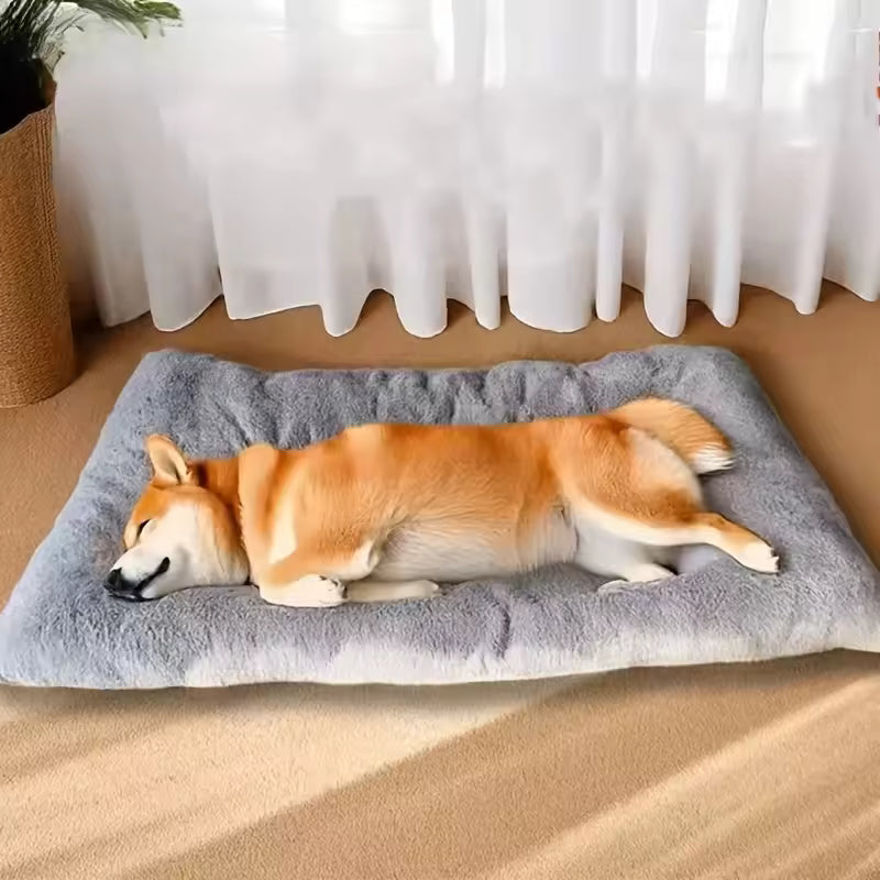 Large Plush Orthopedic Dog Bed